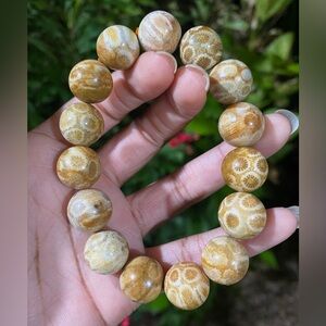 Fossilized Coral Bracelet 🪸